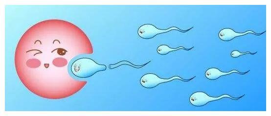 科学生男生女法