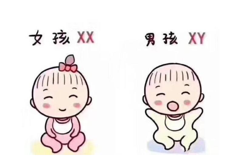 福建试管婴儿医院