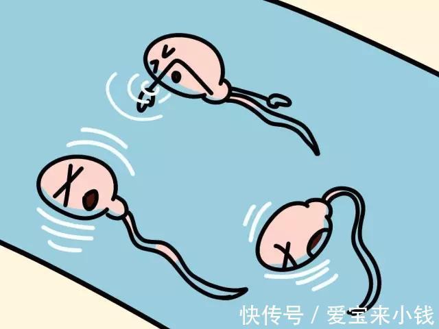 移植手术费用