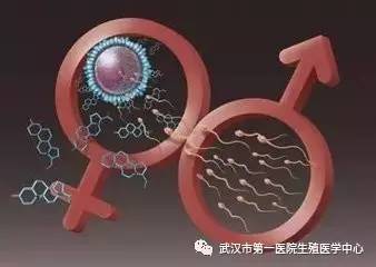 借卵代孕