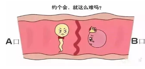 俄罗斯试管婴儿