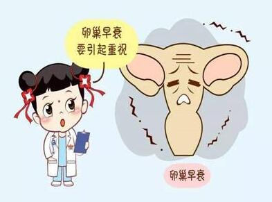 借卵代孕